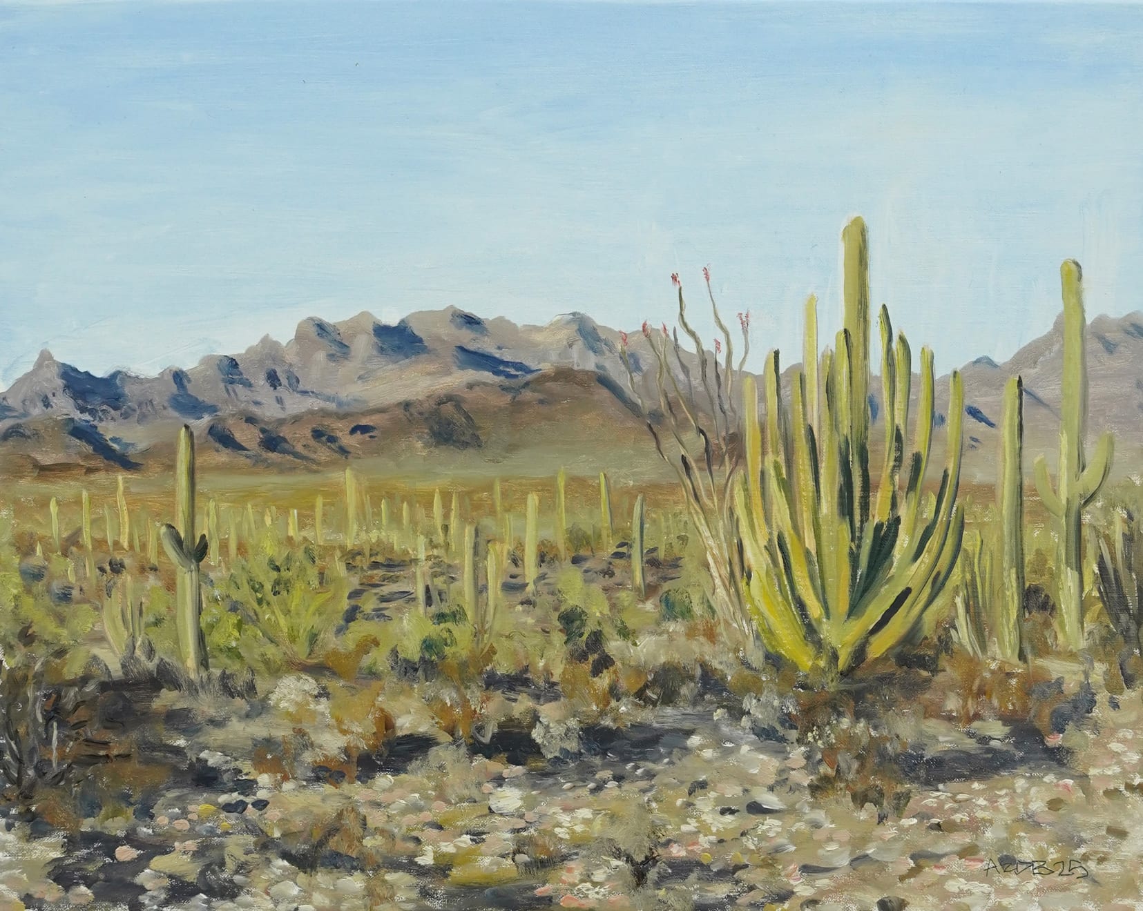 Andrew Durgin-Barnes, Organ Pipe National Monument , 2025