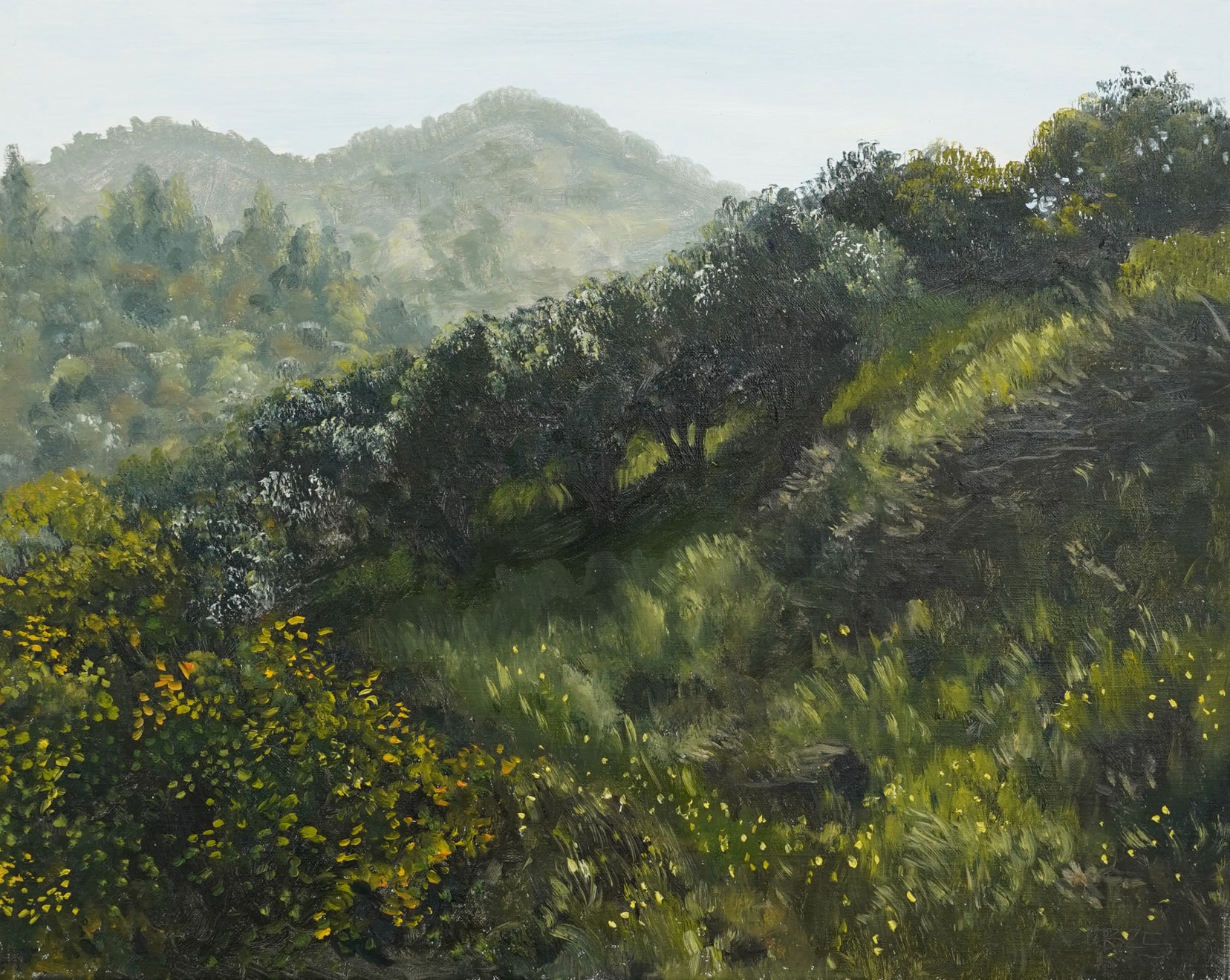 Andrew Durgin-Barnes, Griffith Park Chaparral, 2025