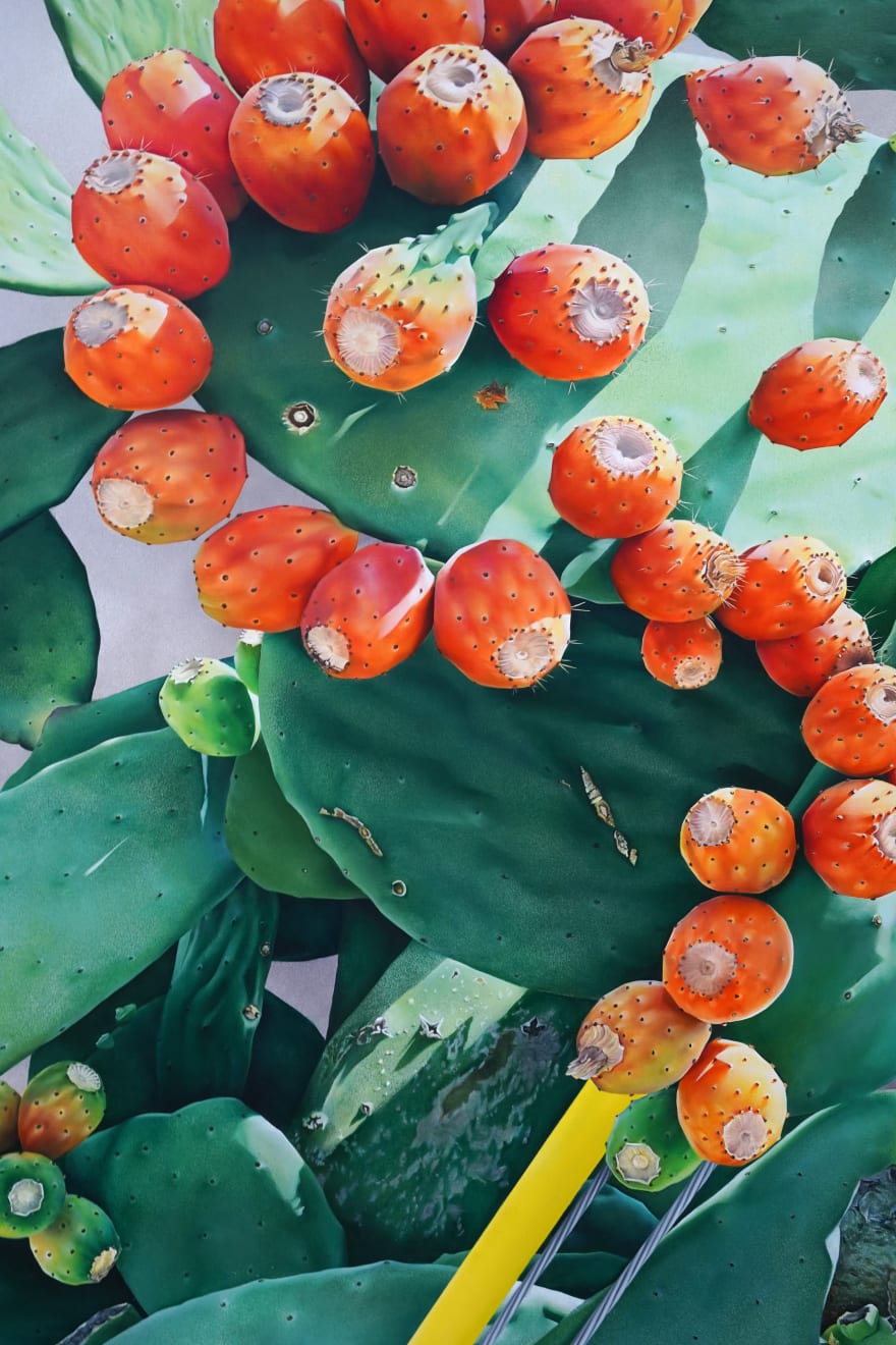 painting of a cactus