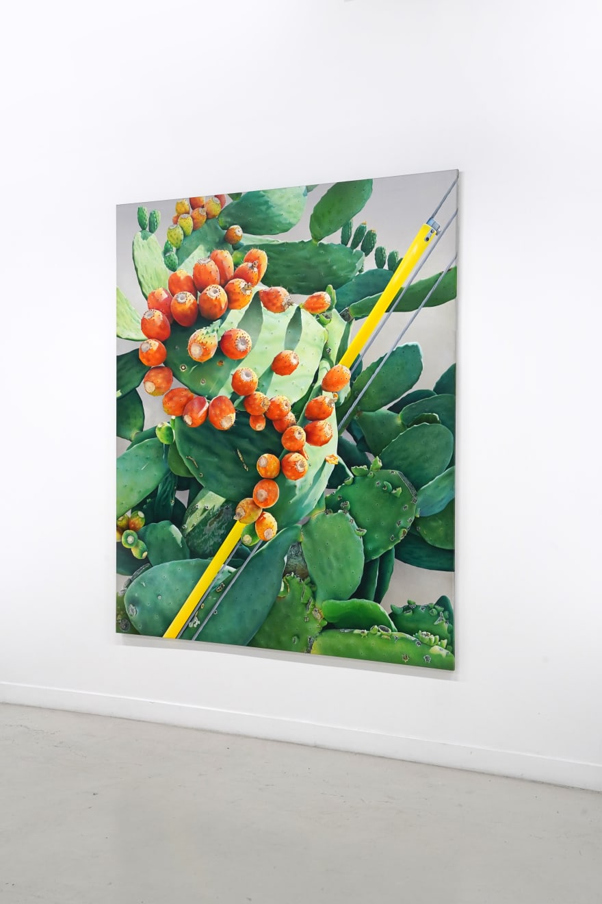 painting of a cactus