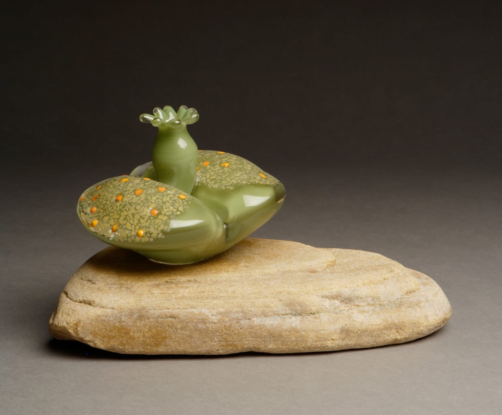 Flo Perkins, Living Stone Rock