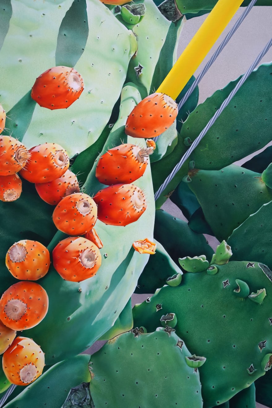 painting of a cactus