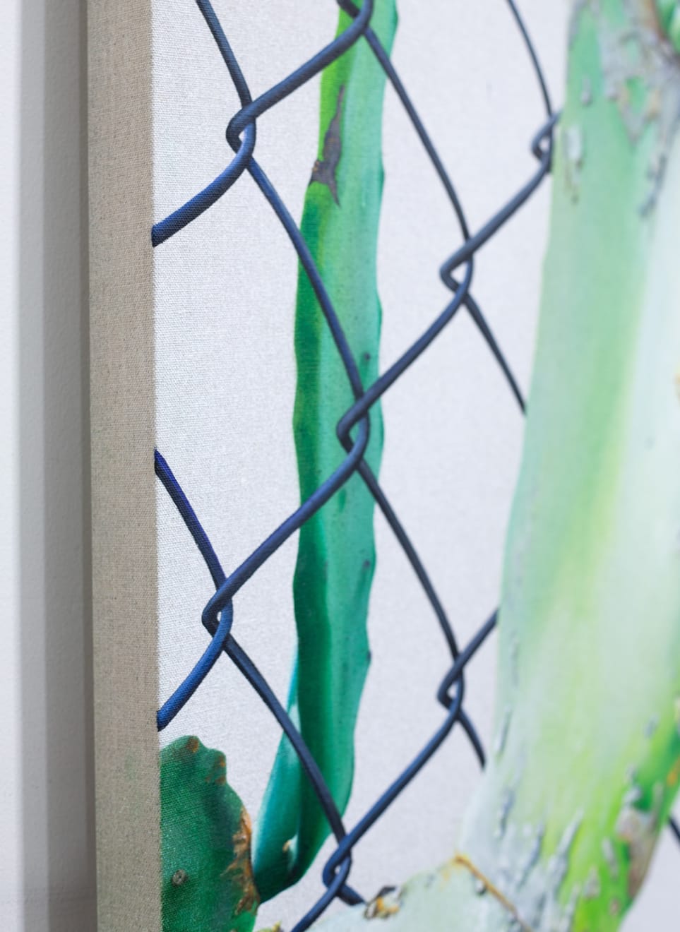 painting of a cactus growing through a fence