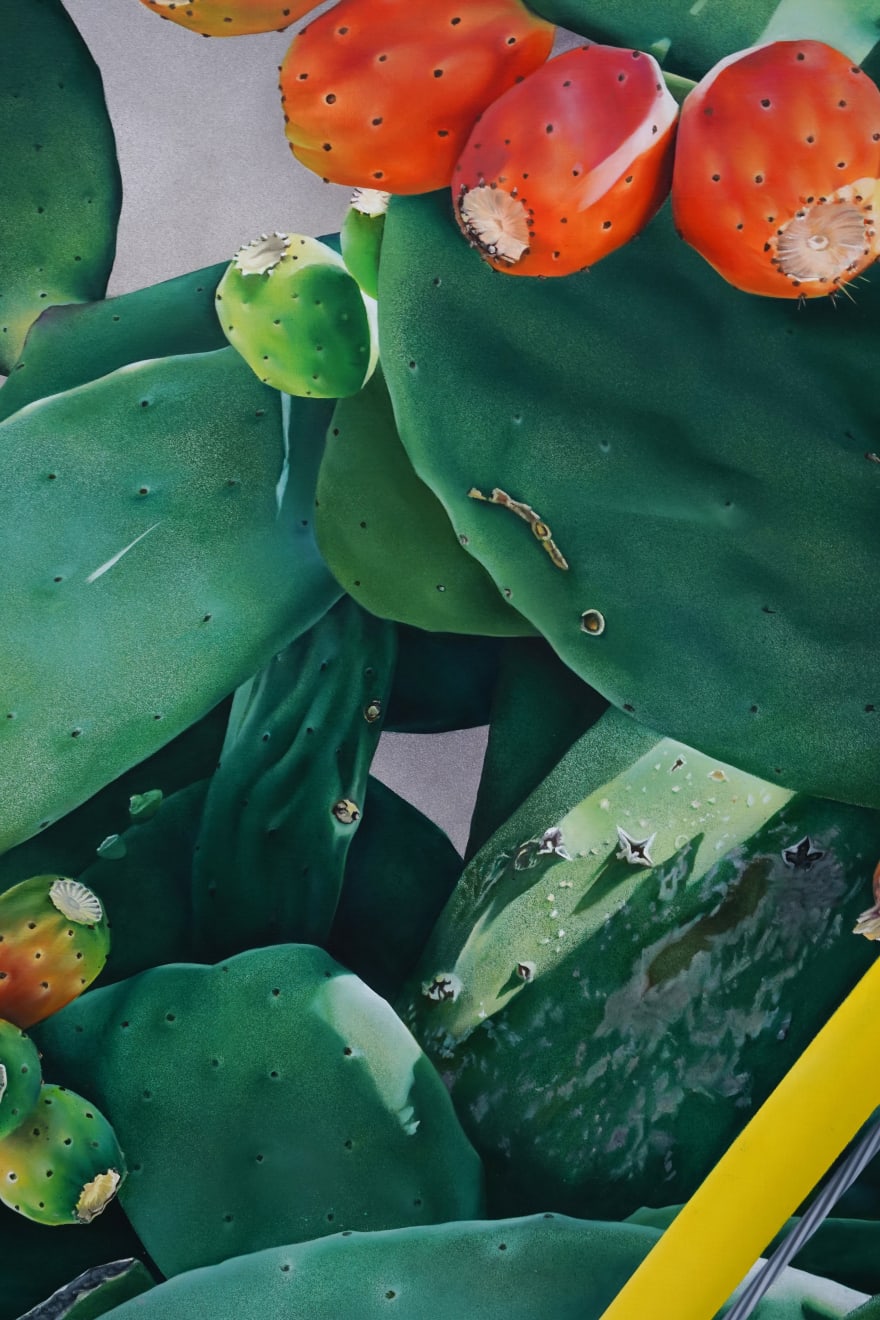 painting of a cactus