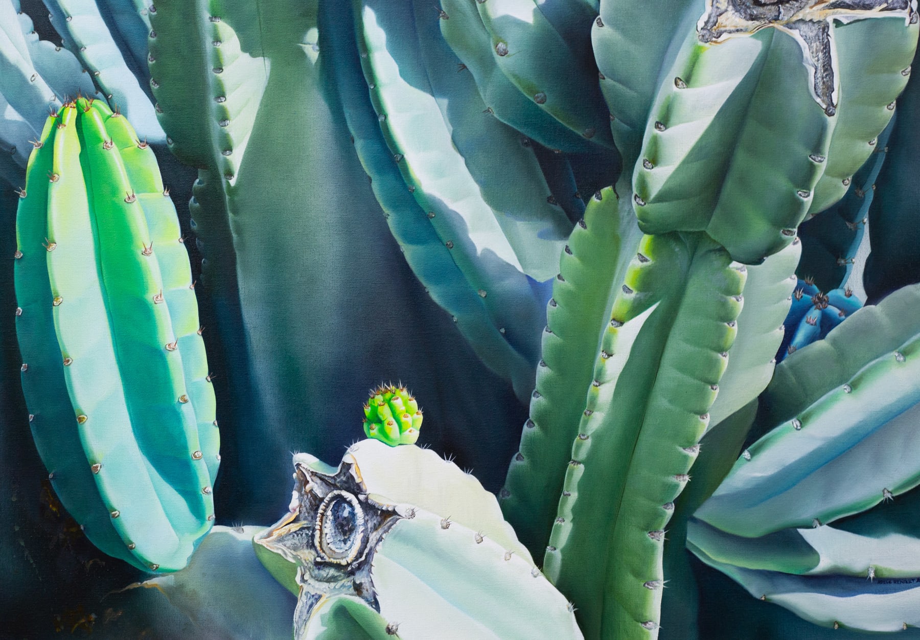 photo-reallistic painting of a cactus in the sunlight