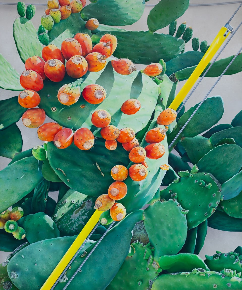 painting of a cactus