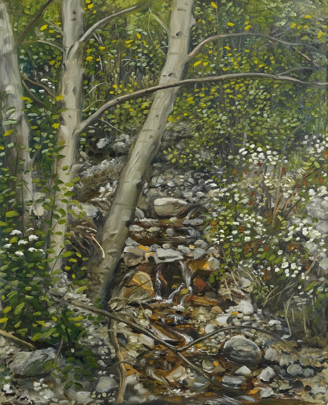 Andrew Durgin-Barnes, Stream in Deukmejian Wilderness, 2025
