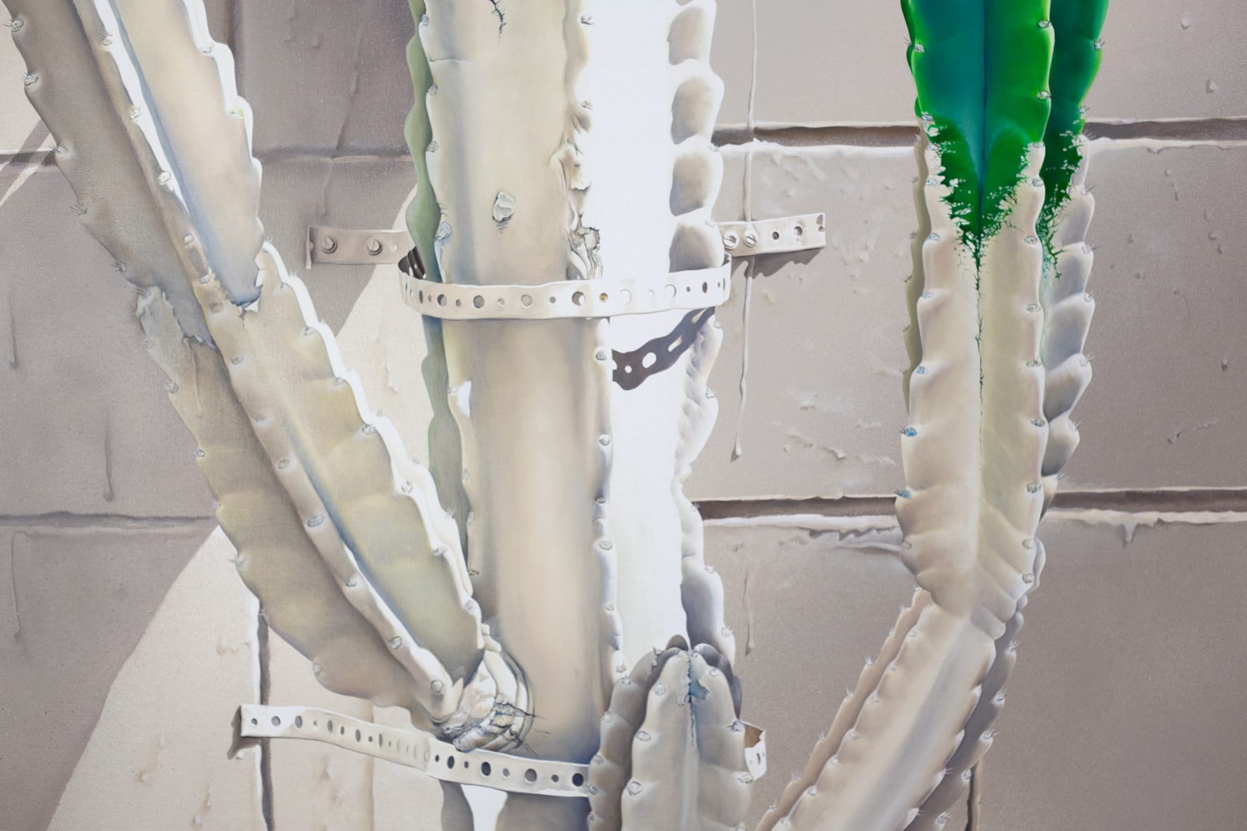 painting of cactus that has been painted white