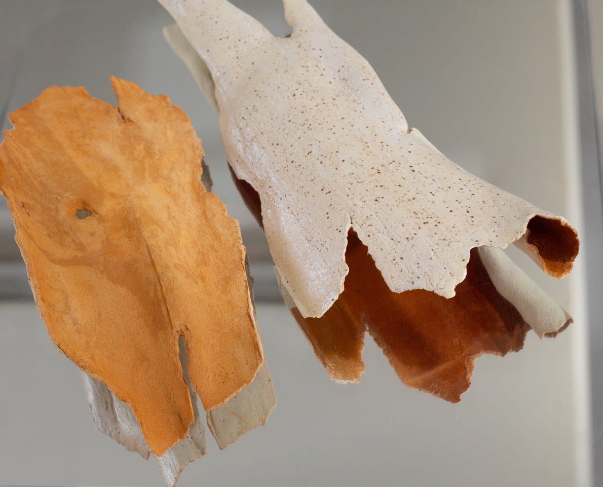photo of a ceramic artwork made to look like pieces of bark from a eucalyptus tree