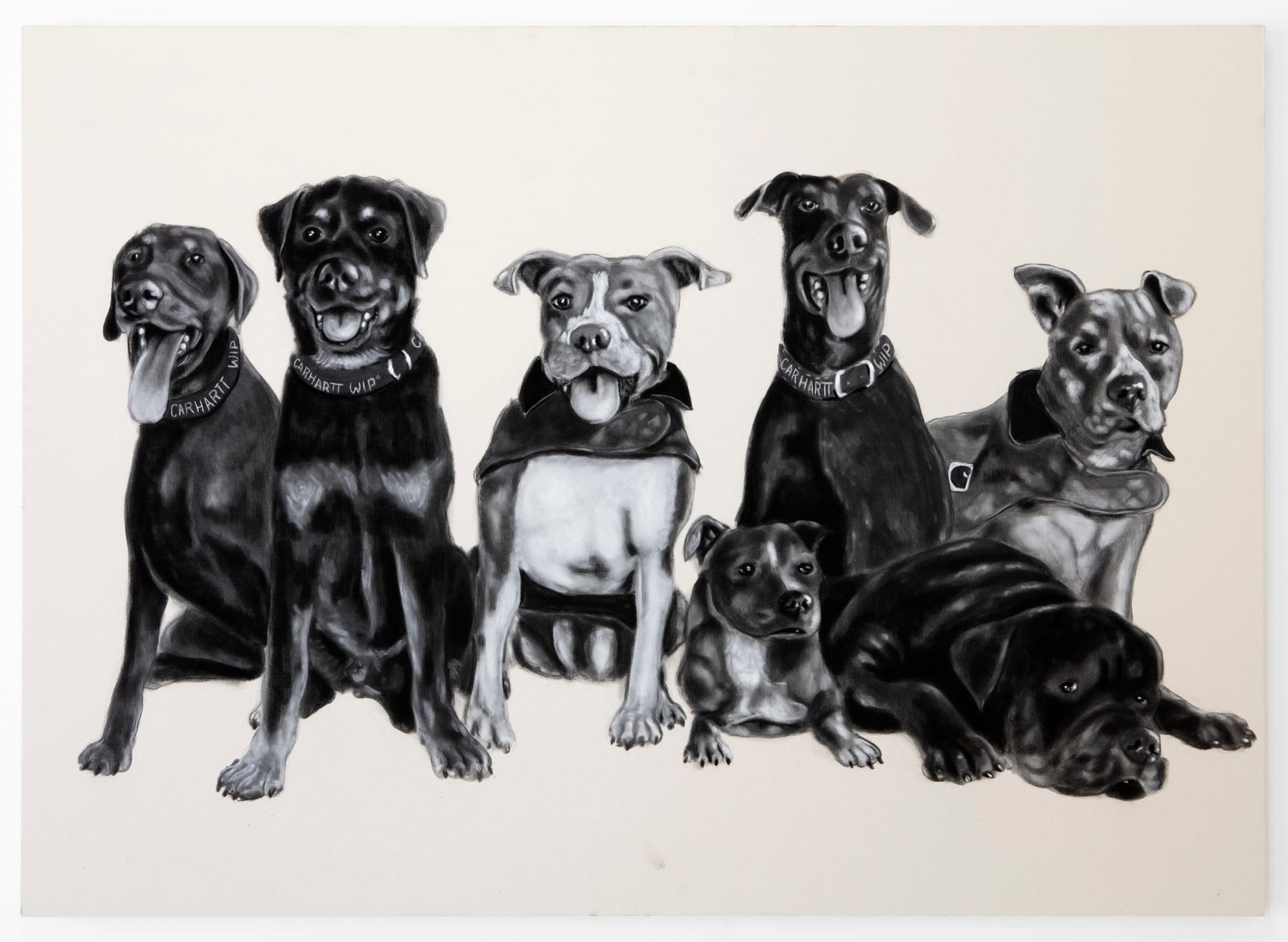 Esteban Samayoa, All My Dogs, 2023