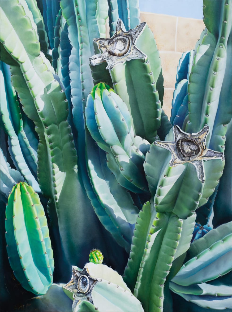 photo-reallistic painting of a cactus in the sunlight