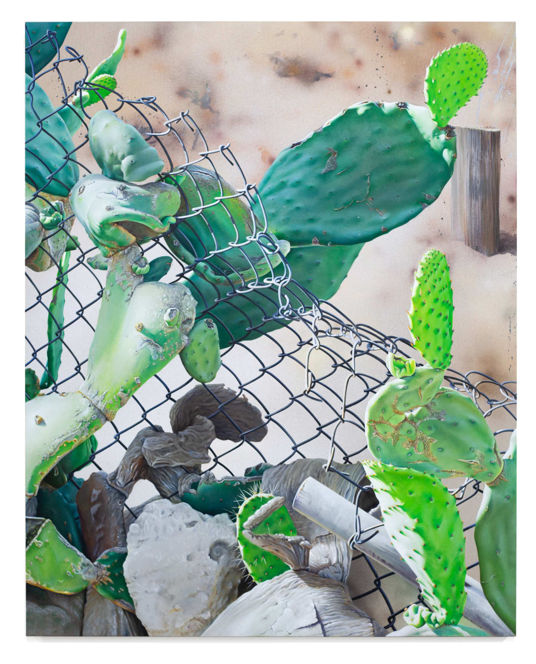 painting of a cactus growing through a fence