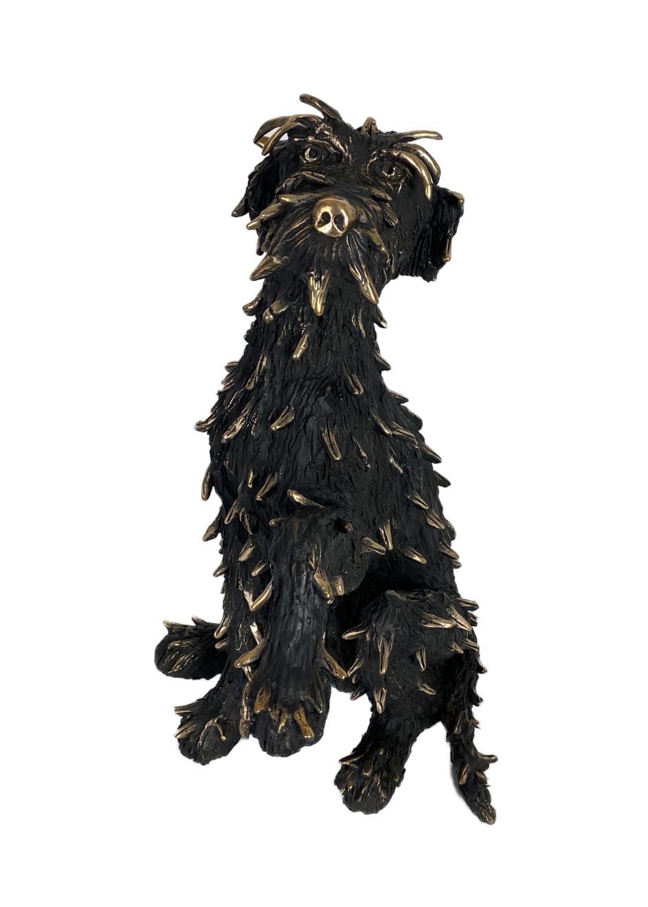 Patrick O'Reilly, Treat Please