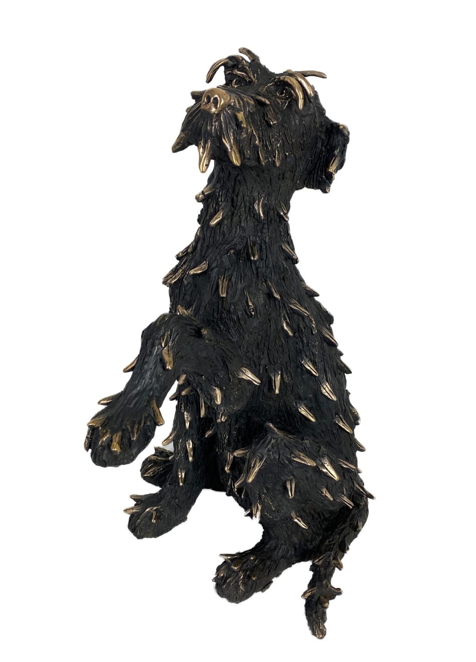 Patrick O'Reilly, Treat Please