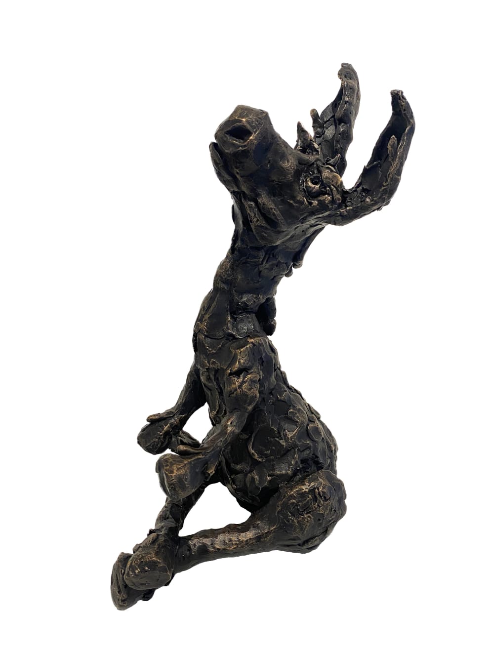 Patrick O'Reilly, Donkey