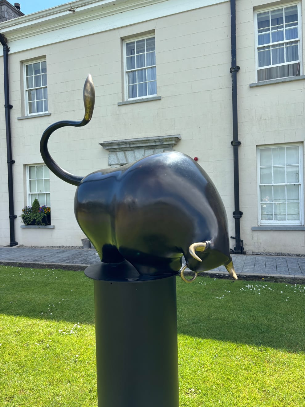 Patrick O'Reilly, Donn Cuailnge