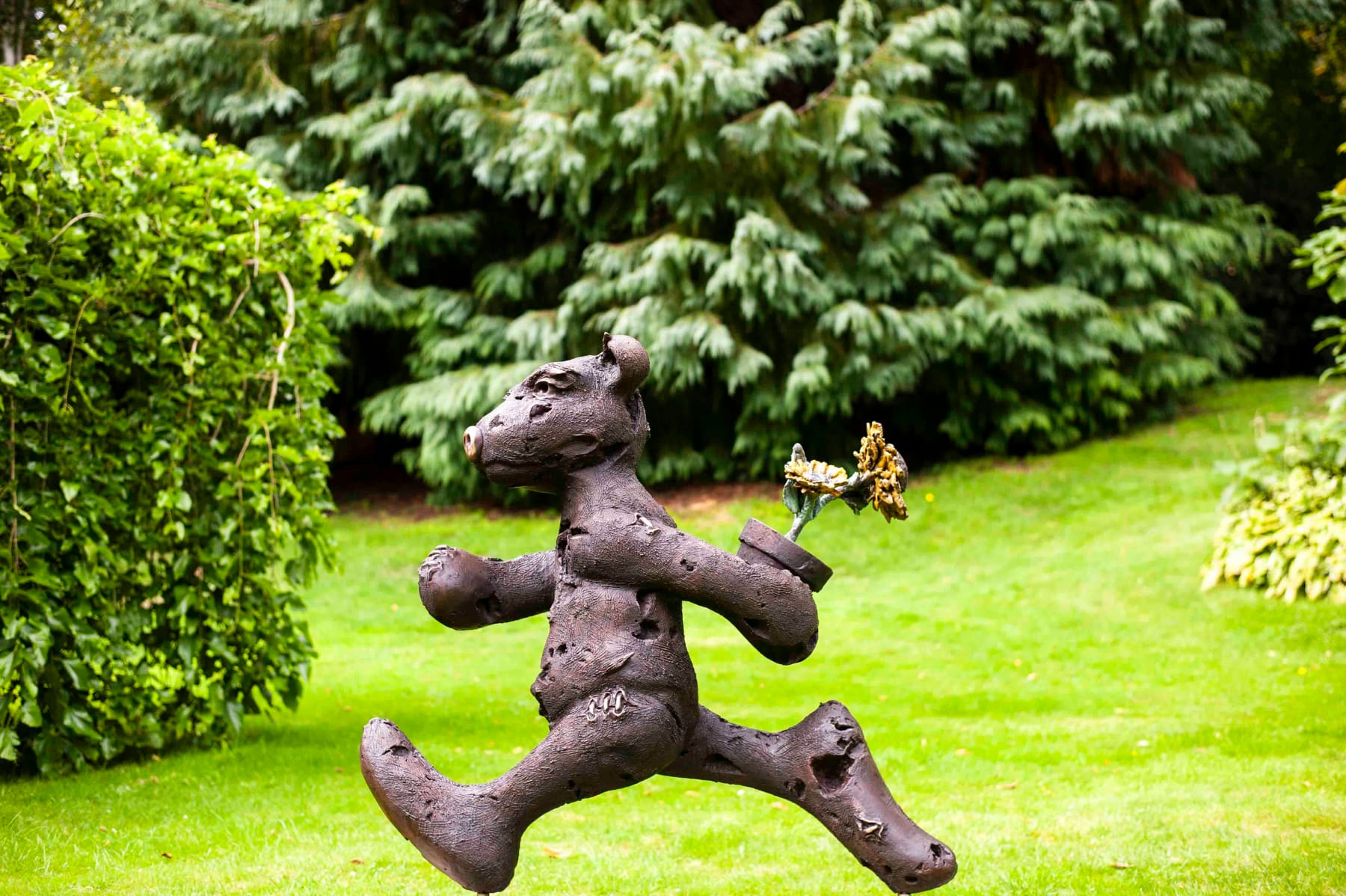 Patrick O'Reilly, The Gardener with Sunflower