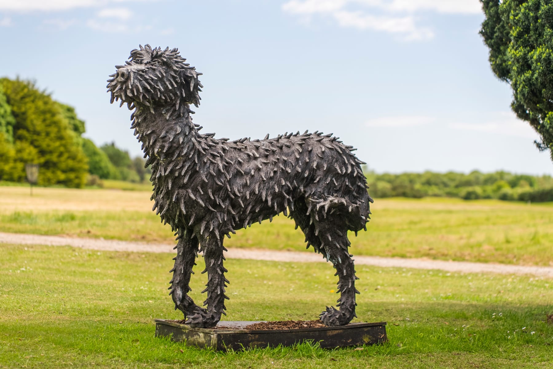 Patrick O'Reilly, Standing Irish Wolfhound