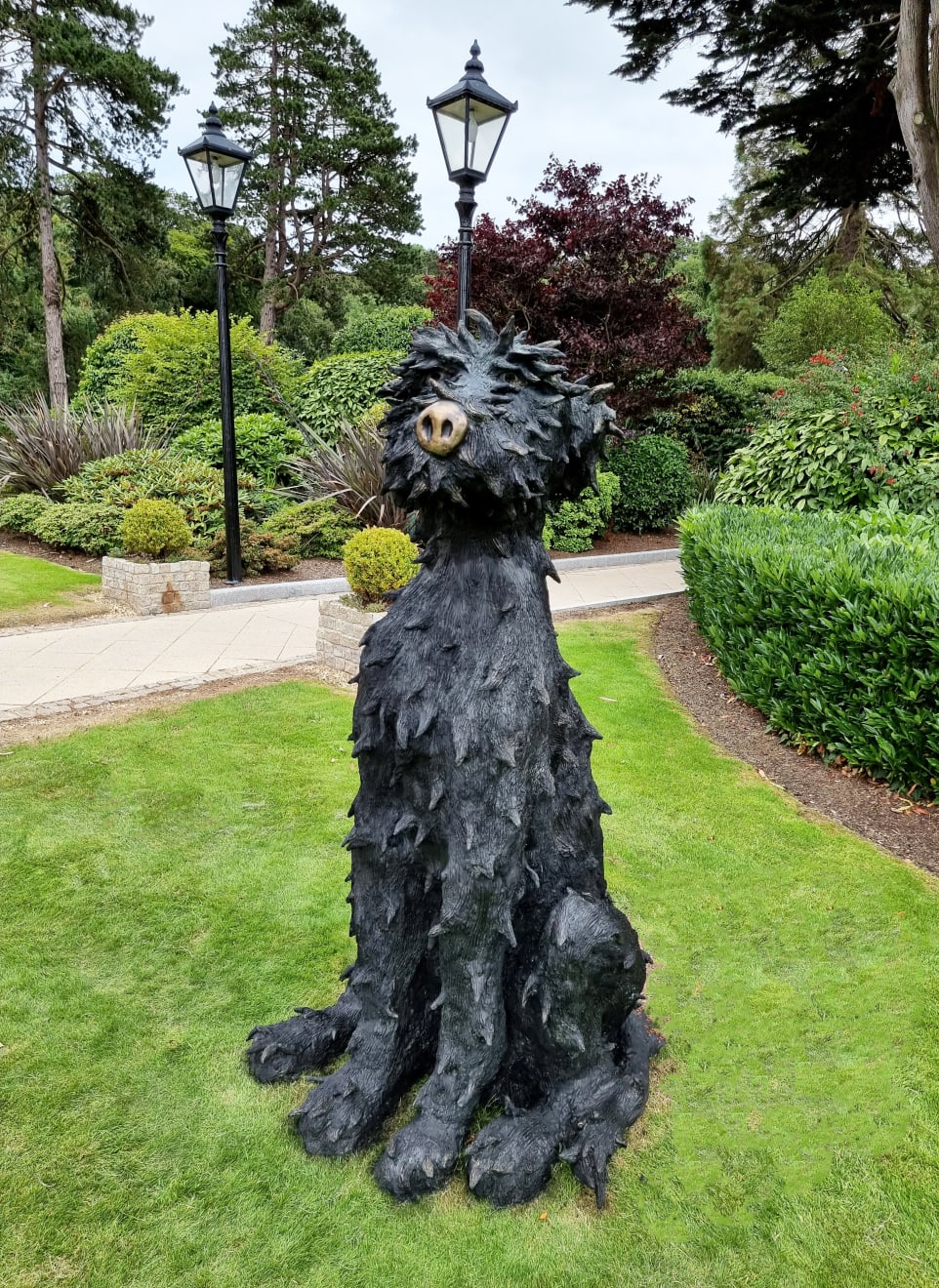 Patrick O'Reilly, Irish Wolfhound