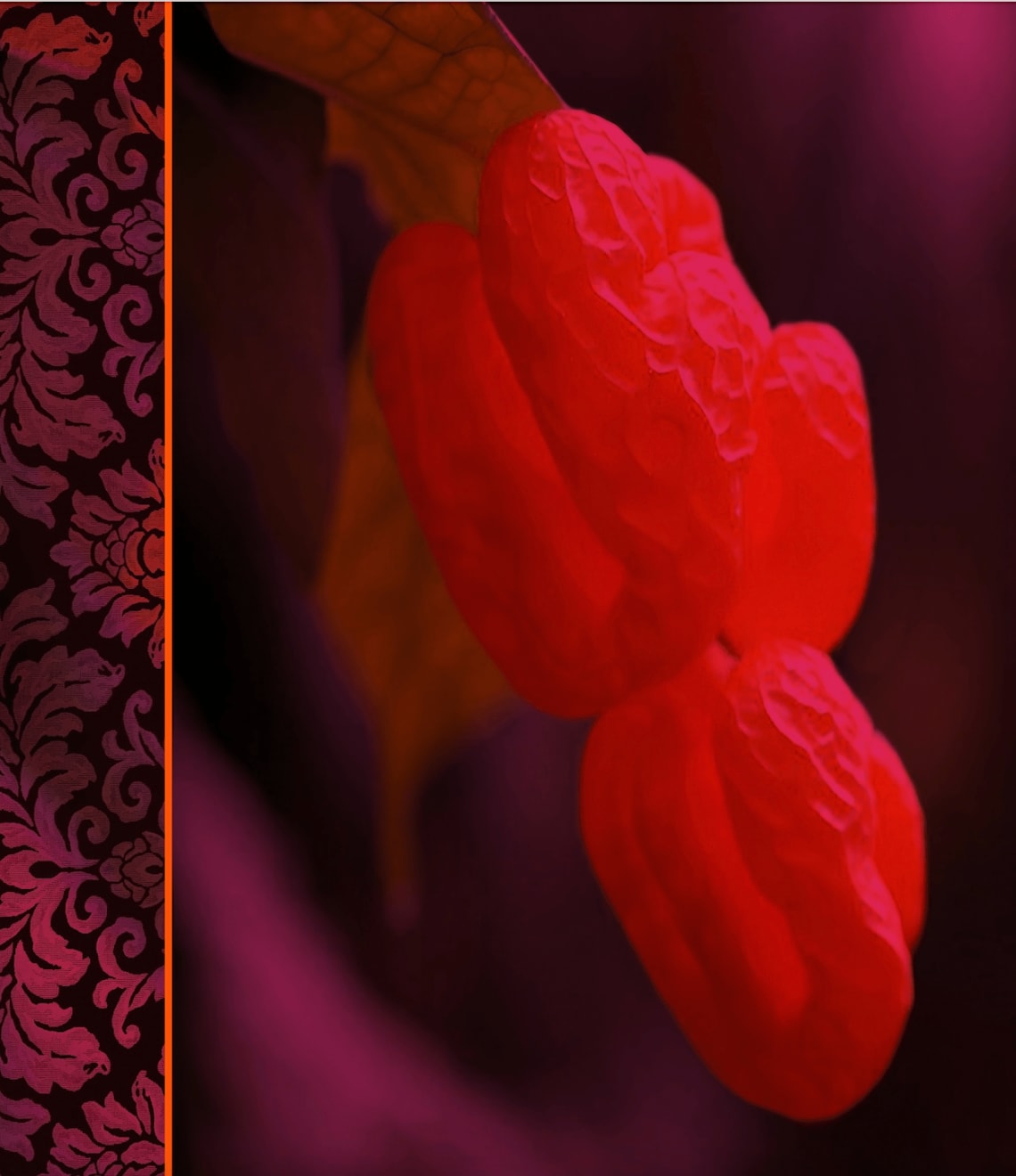 Patricia Jacomella, Sanicula Kauaiensis, 2024