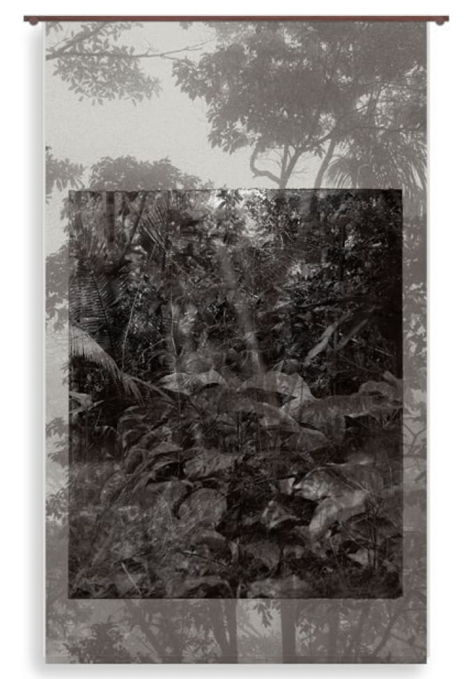 Pepe Atocha, Chacruna, 2024