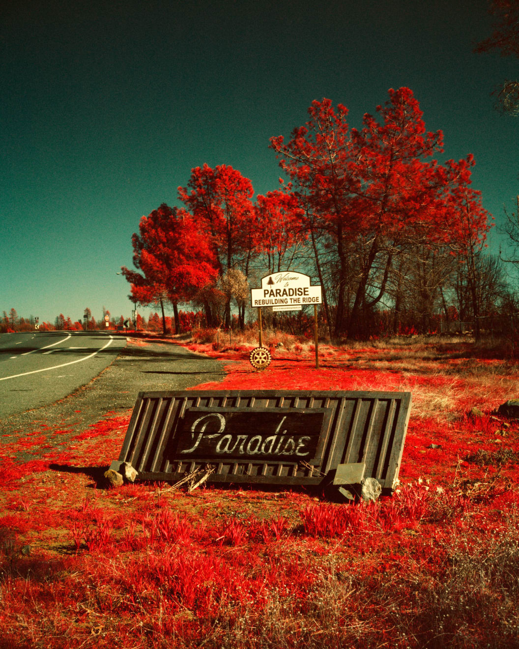 Maxime Riché, Paradise, from the series Paradise, 2020