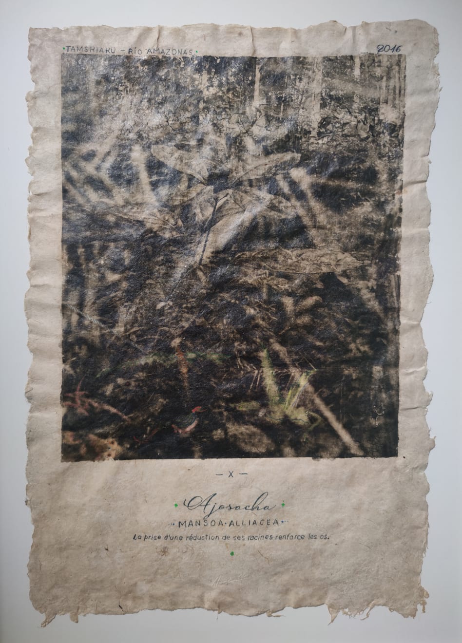 Pepe Atocha, Ajosacha, 2024