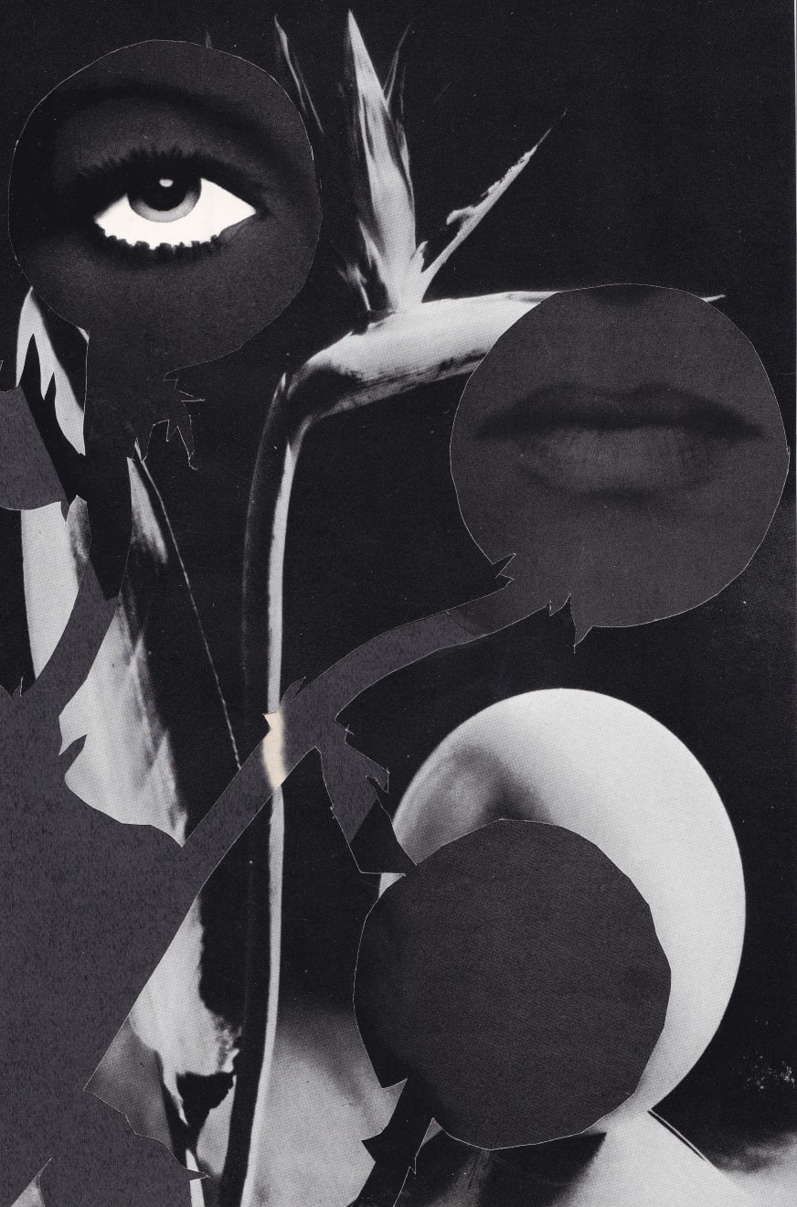 Audrey Guttman, Le visiteur de la nuit , 2021