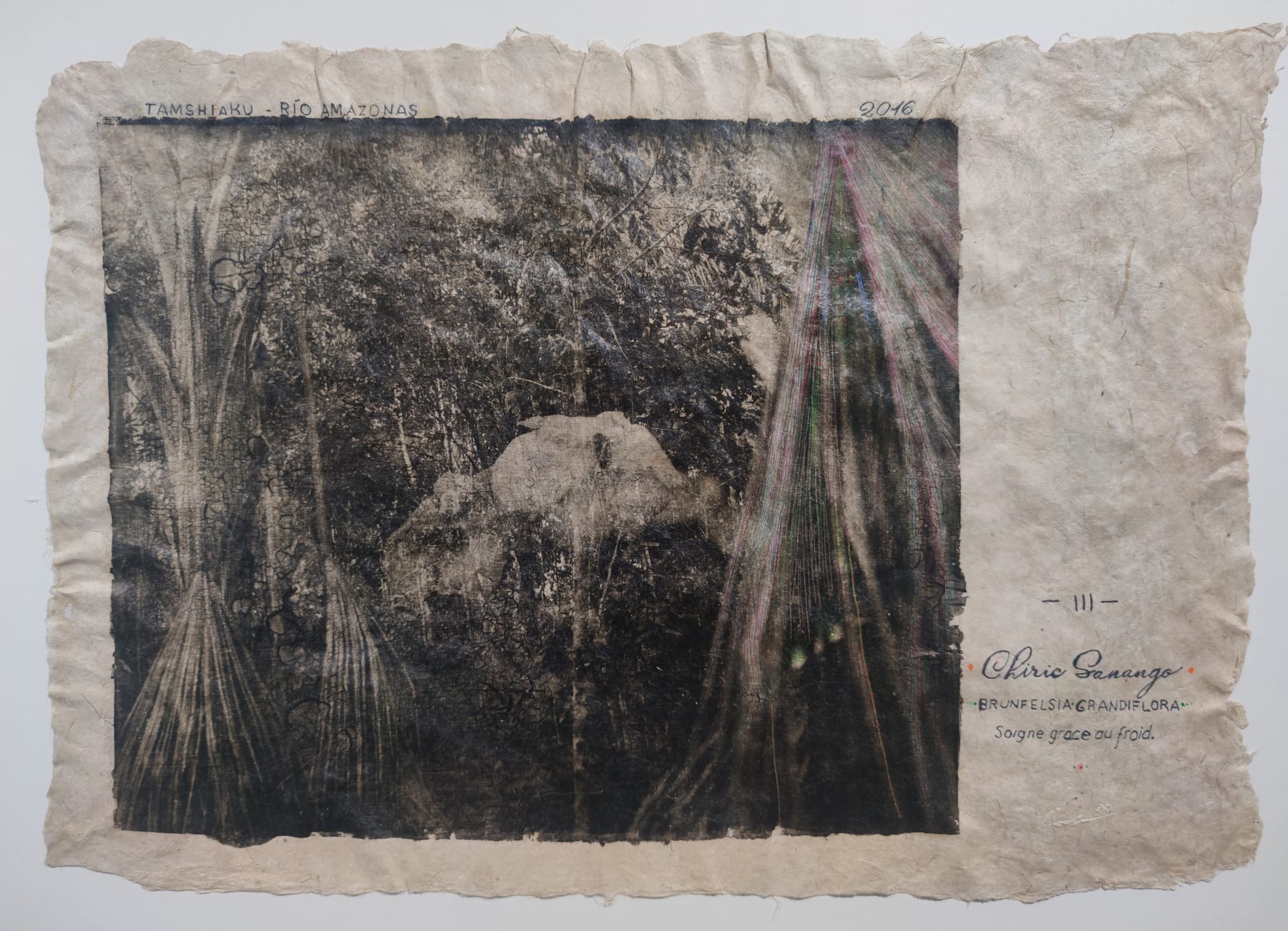 Pepe Atocha, Chiric Sanango, 2024