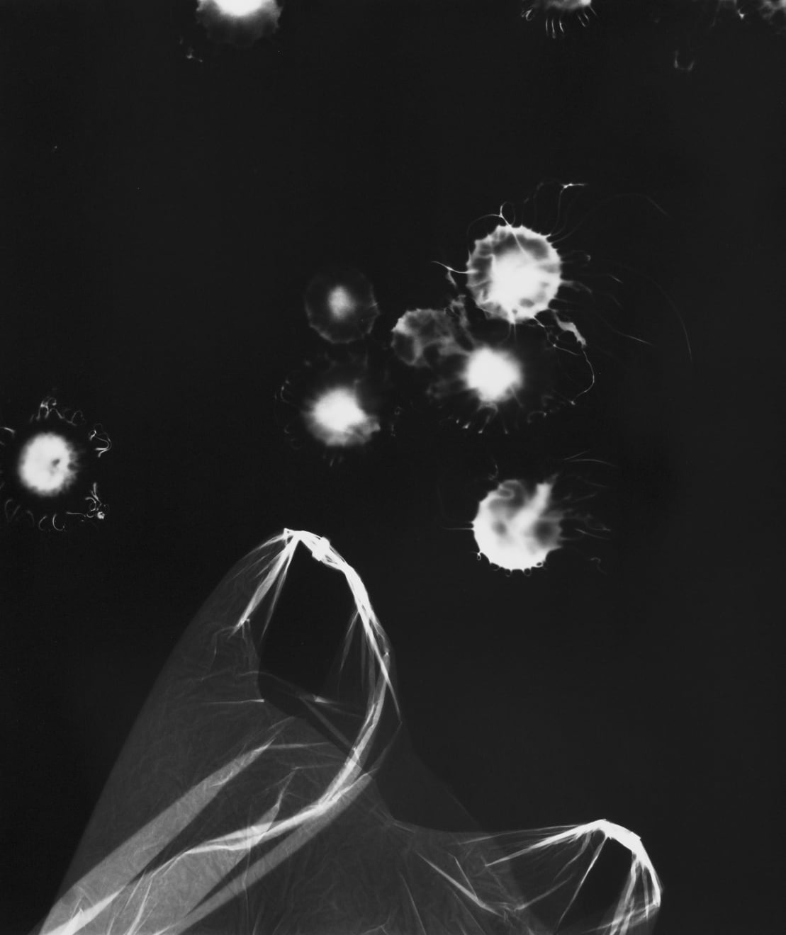 Aliki Christoforou, Perspectives submergées 8, 2024