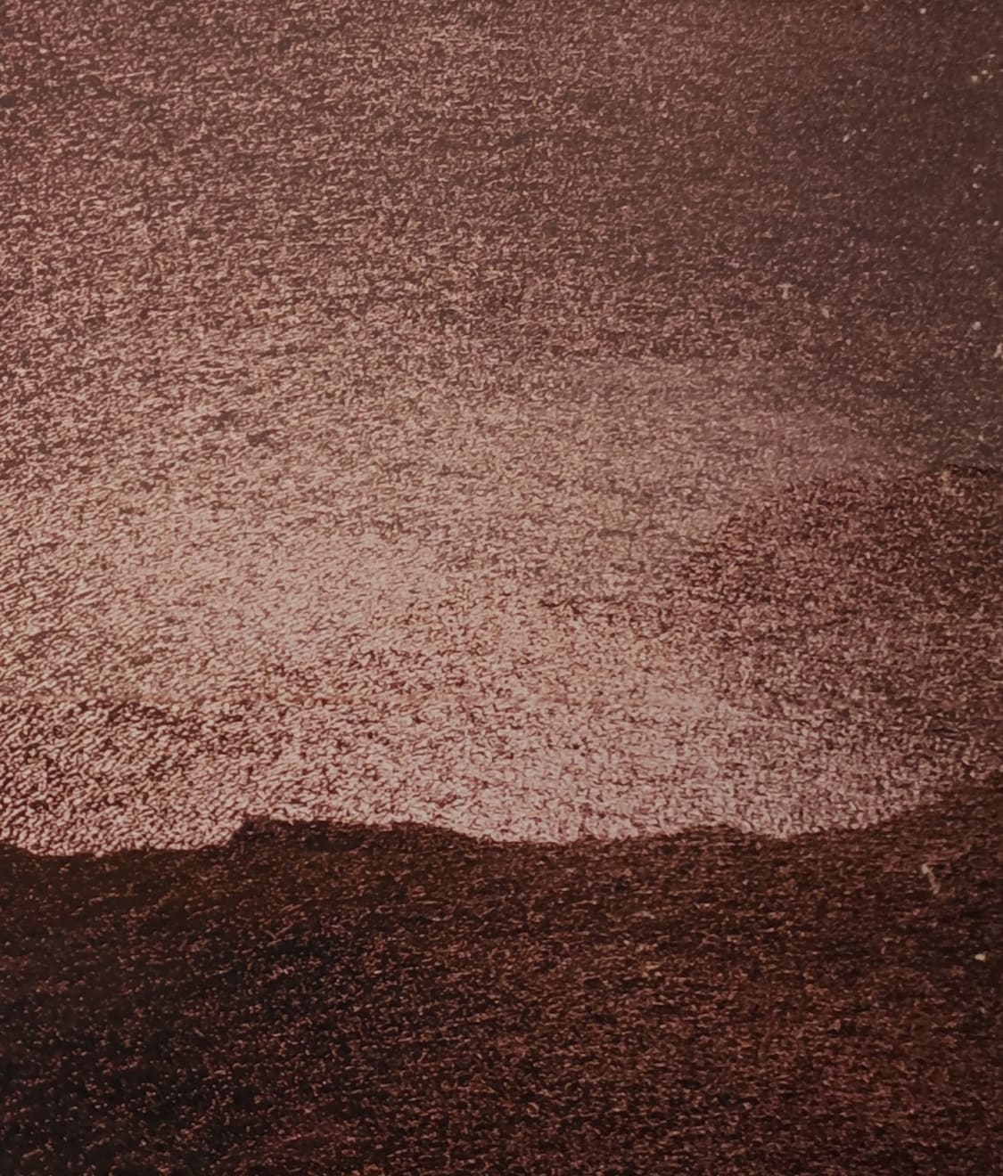 Matthieu Litt, Terra Nullius # 25, 2024