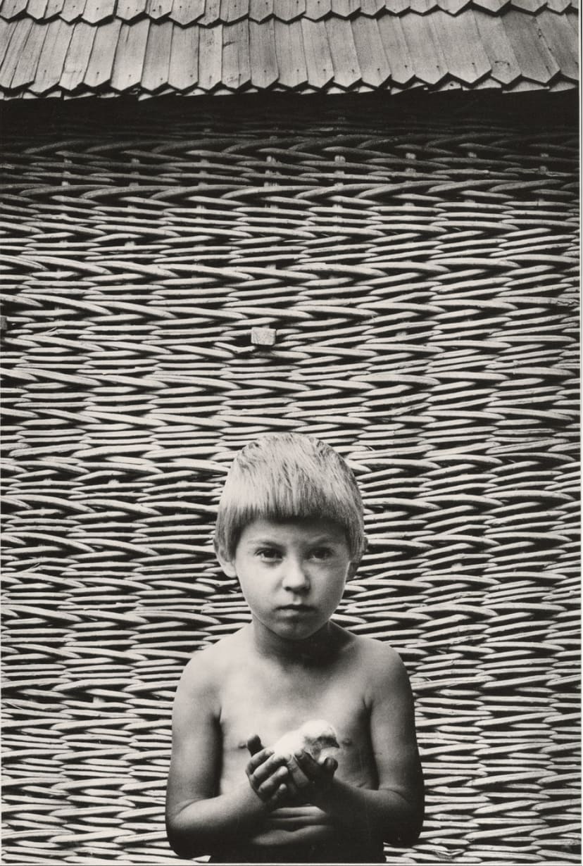 Oleksandr Suprun, Chicken, 1988