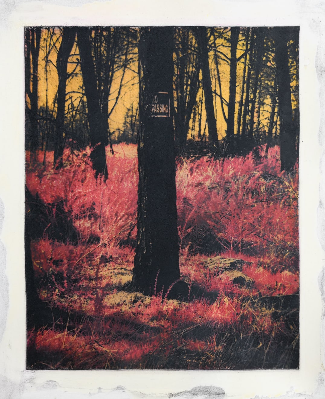 Maxime Riché, No Passing, from the series Paradise, 2020