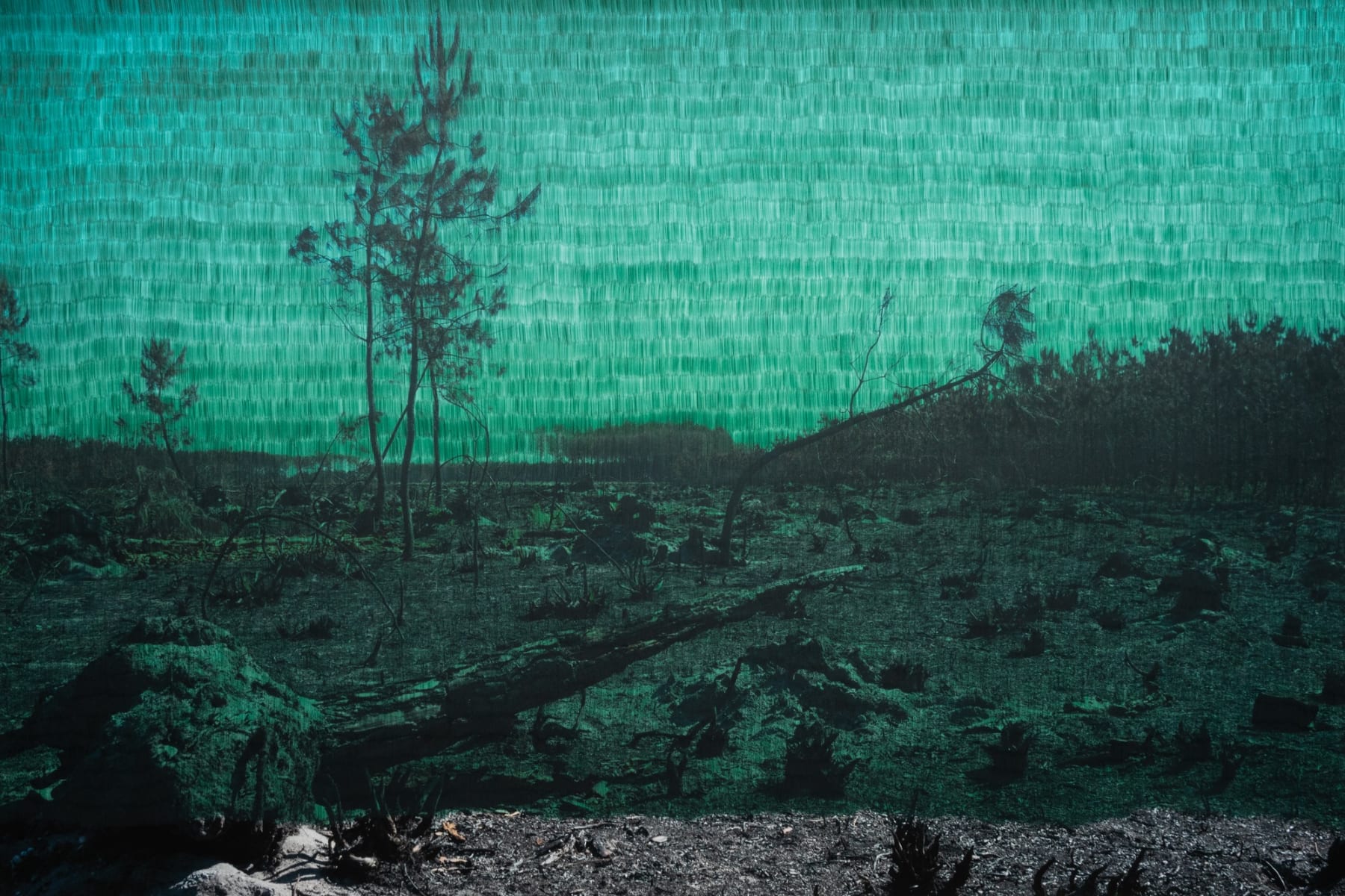 Morvarid K, This Too Shall Pass Temps 1.07, 2023