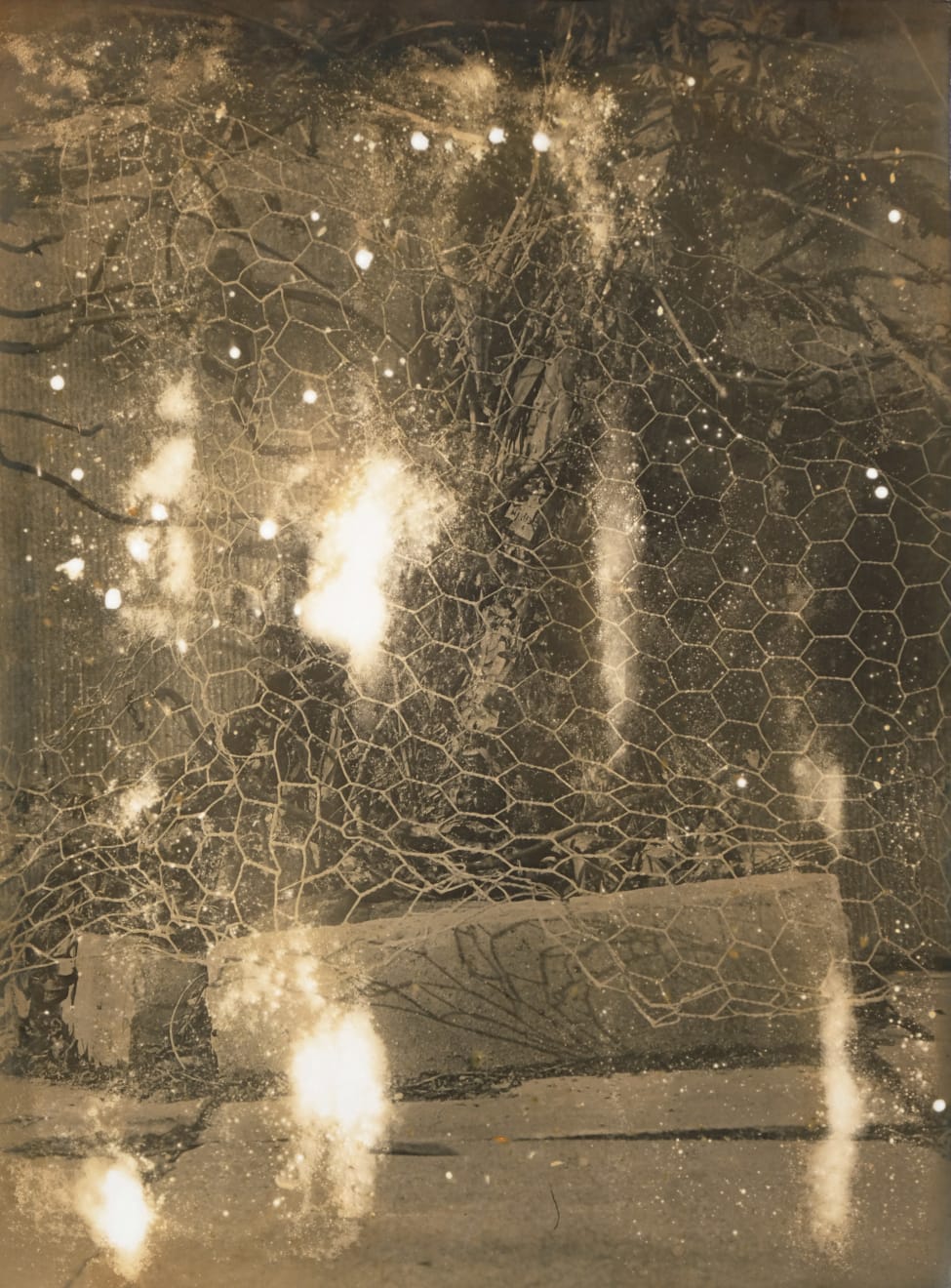 Nicolas Andry, Ville Nature 4, 2024