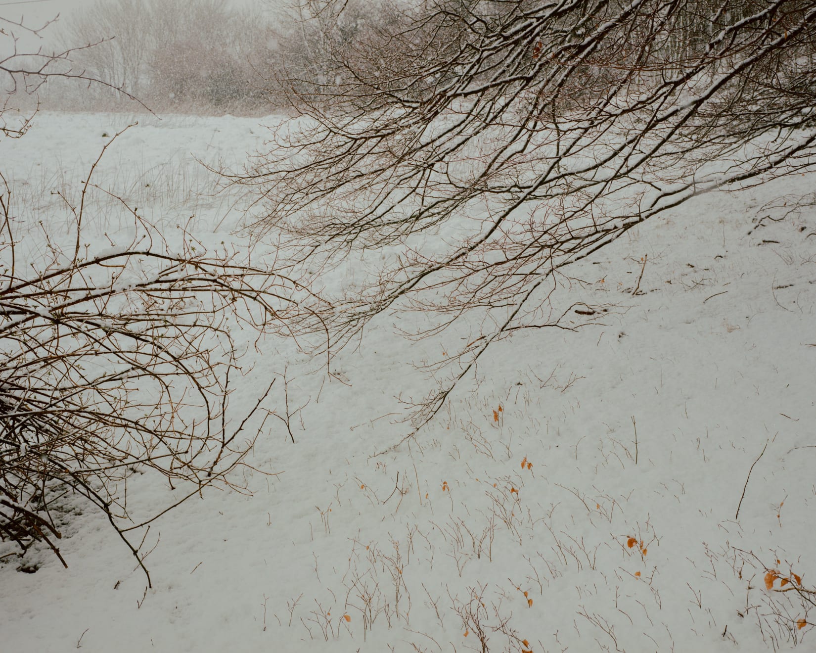 Matthieu Litt, OASIS #113, from the series OASIS, 2020