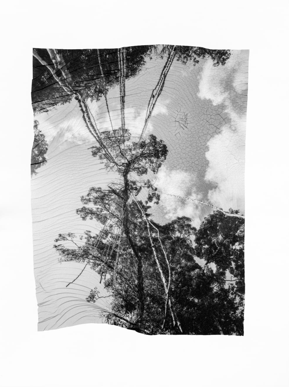 Sylvie Bonnot, From the series Corps de brume 018-IV, , 2024