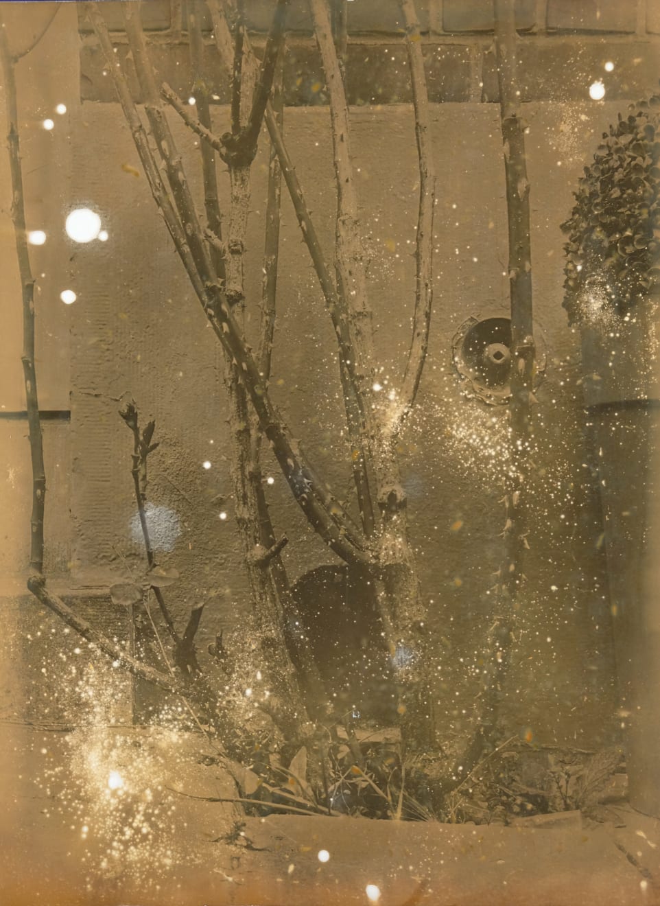 Nicolas Andry, Ville Nature 26, 2024