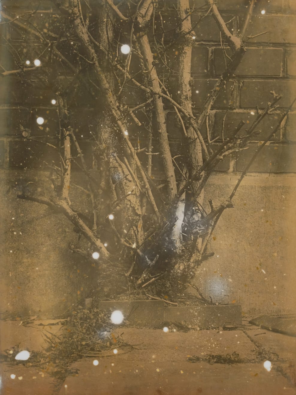 Nicolas Andry, Ville Nature 14, 2024