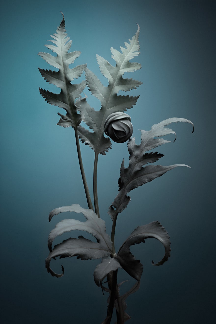 Claudia Jaguaribe, From the series Viveiro, 2023