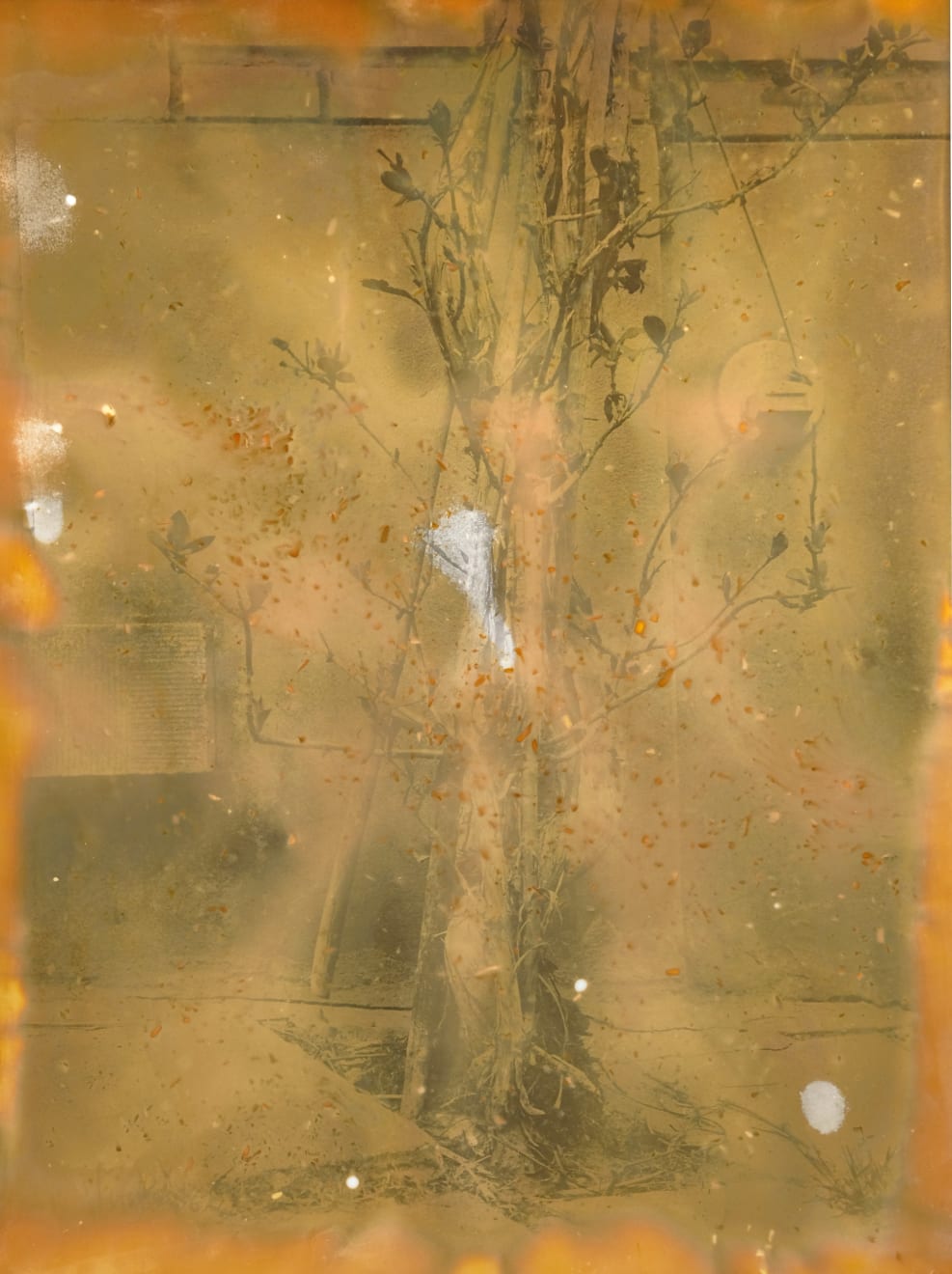 Nicolas Andry, Ville Nature 21.1, 2024