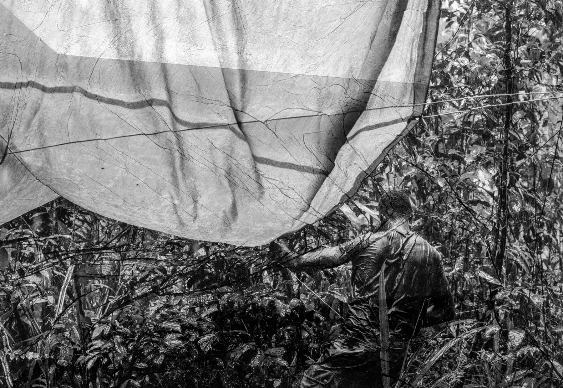 Sylvie Bonnot, Corps de brume (Jean-Pierre), Guyane, 2024