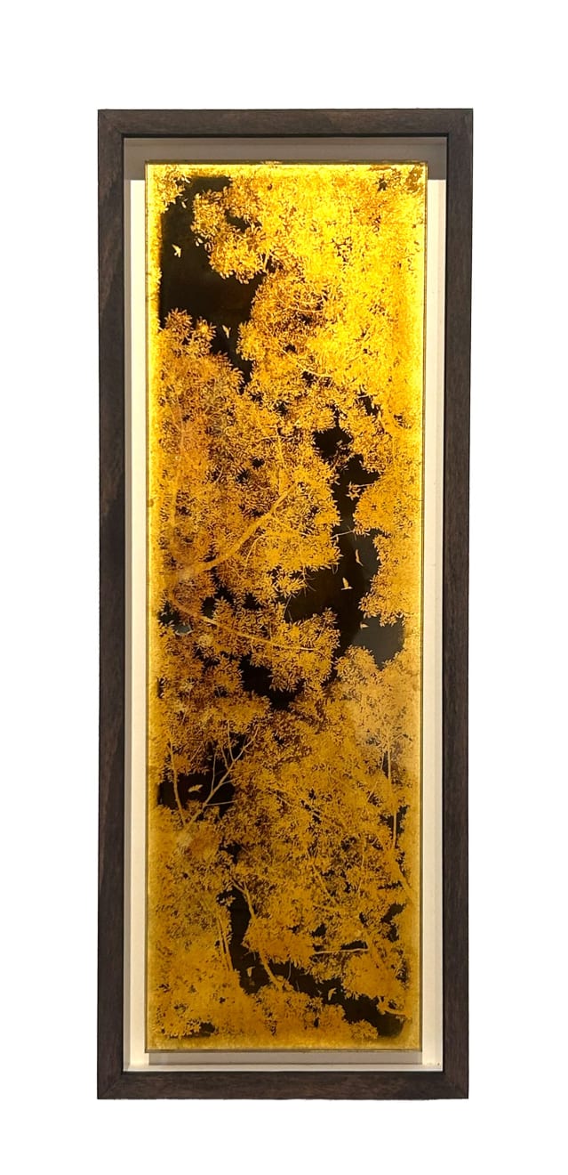 Antoine De Winter, from the series All the places and the places between, 2025