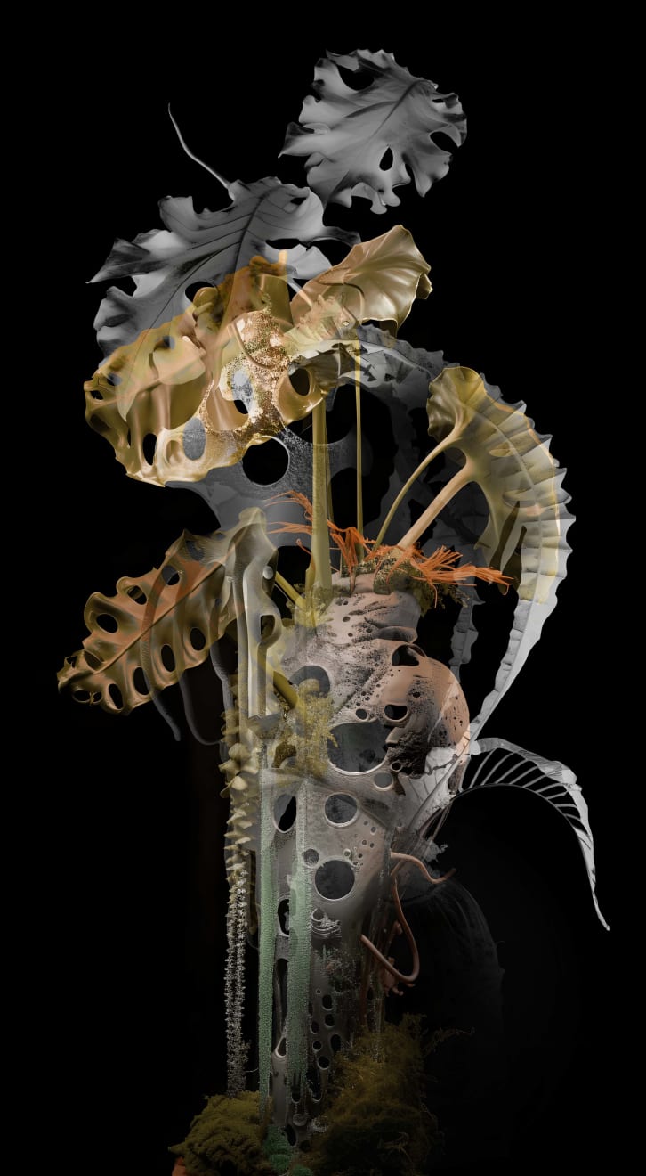 Claudia Jaguaribe, From the series Viveiro, 2024