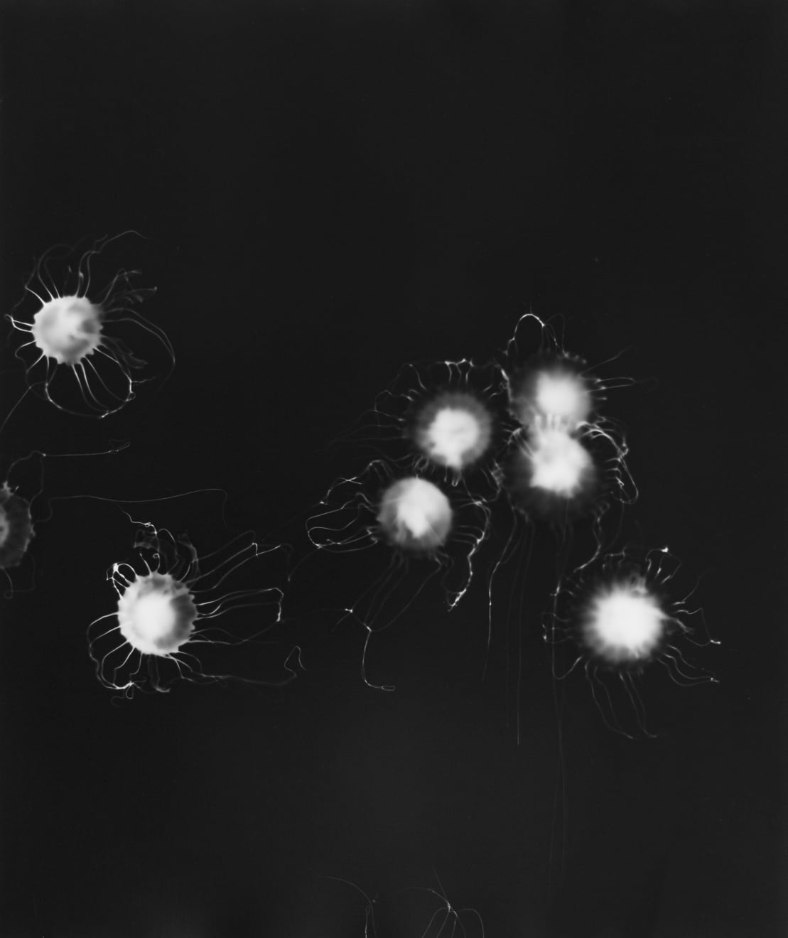 Aliki Christoforou, Perspectives submergées 6, 2024