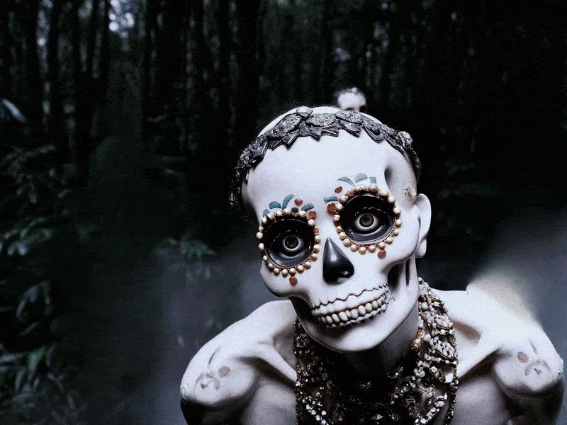 David Sheldrick, B’ak'tun | Sheldrick x Paax, 2024