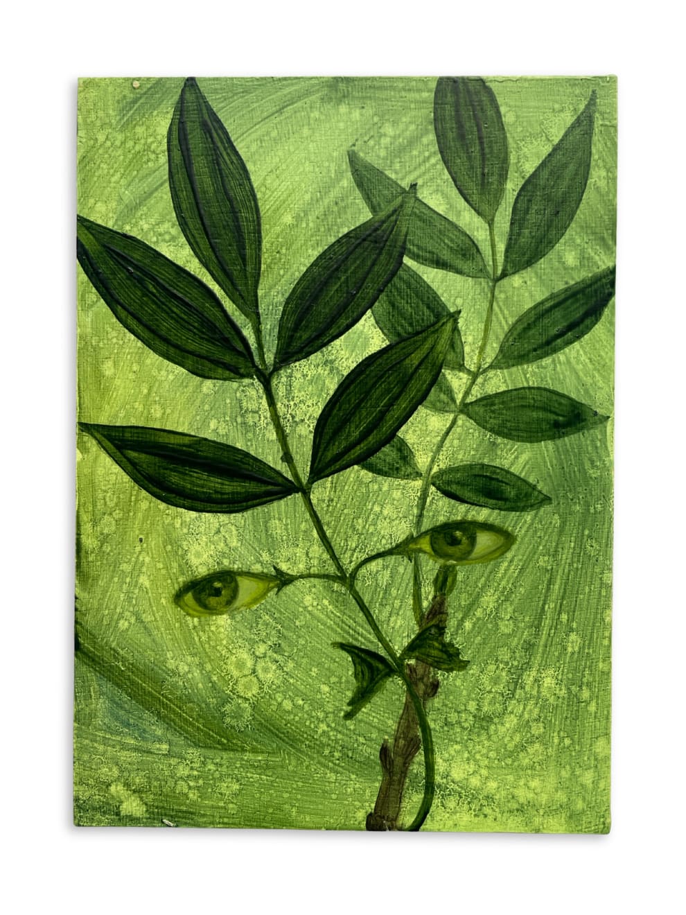 Xanthe Burdett, Ash Bough, 2025