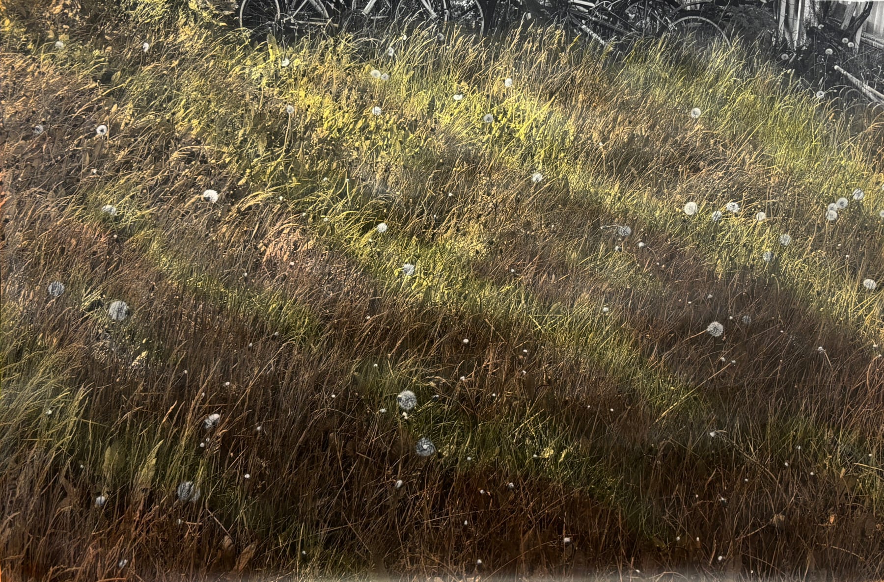 Lilja Birgisdóttir, Í útjaðri augans, 2025