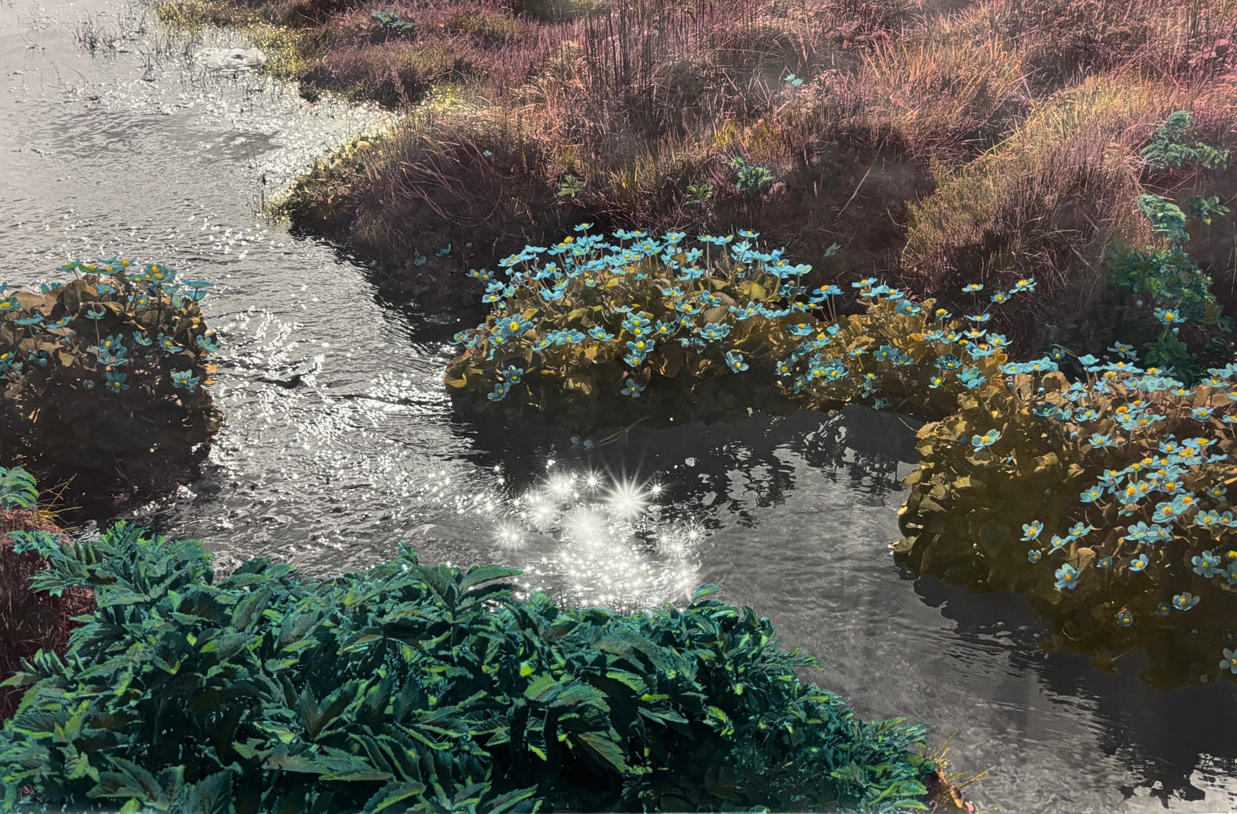 Lilja Birgisdóttir, Í nótt er hjarta mitt hljótt, 2025