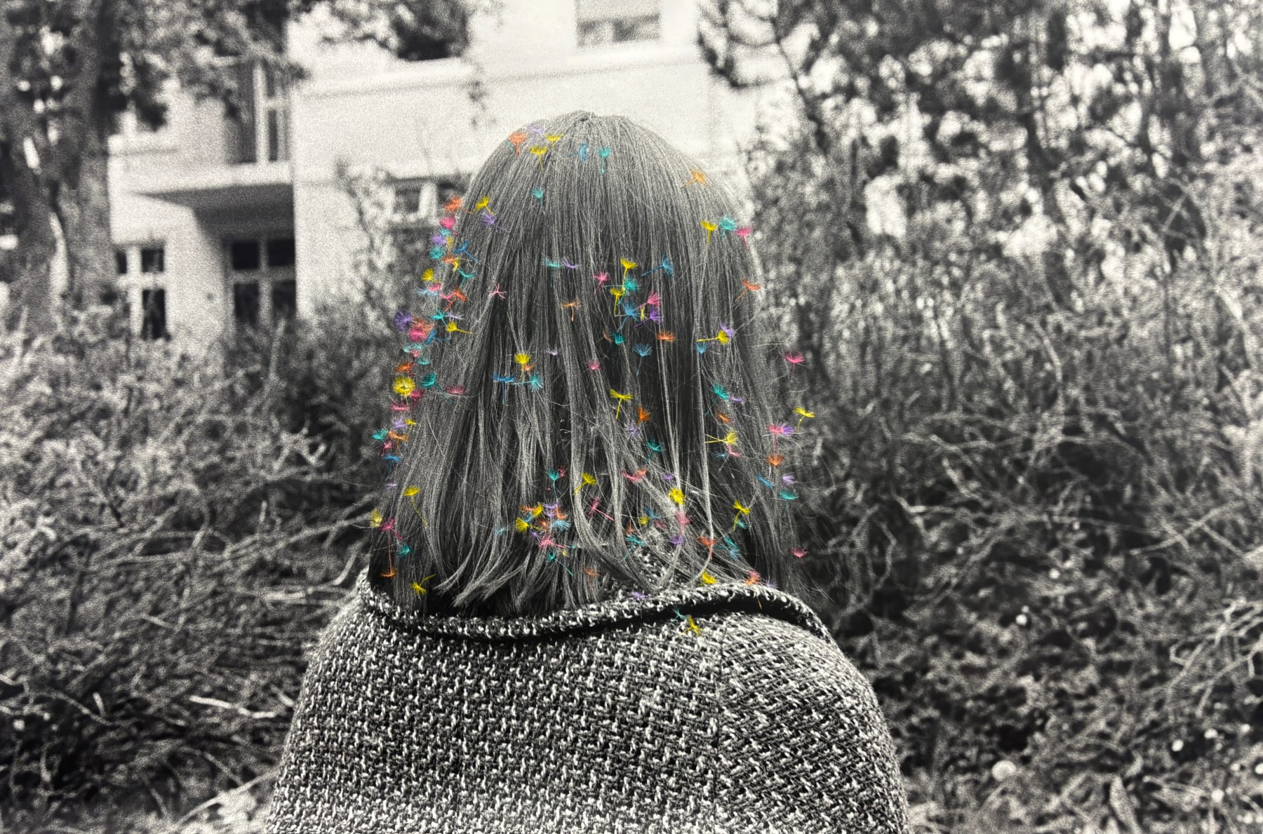 Lilja Birgisdóttir, Um leið og þú lítur undan, 2025